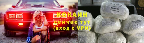 PSILOCYBIN Белокуриха
