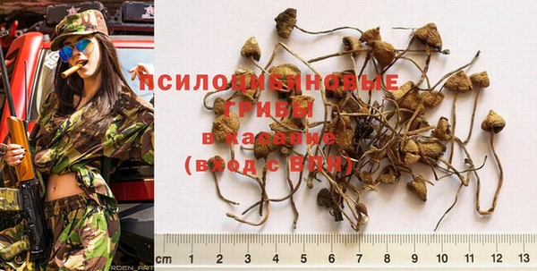эйфоретик Беломорск