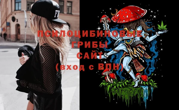 PSILOCYBIN Белокуриха