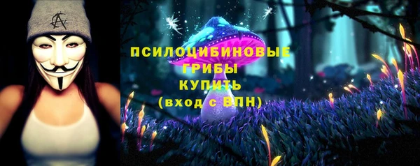 эйфоретик Беломорск