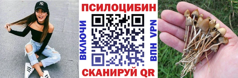 как найти   Трёхгорный  Галлюциногенные грибы ЛСД 